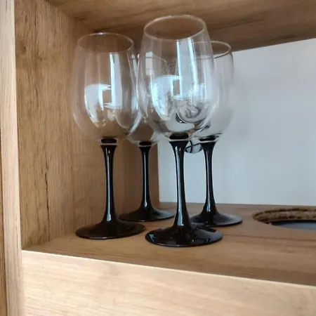 Uroczy Apartament Z Miejscem Na Auto W Garazu 酒店