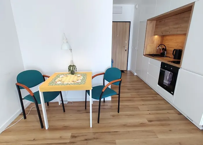 Uroczy Apartament Z Miejscem Na Auto W Garażu *